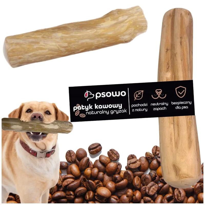 Urazy przewodu pokarmowego psa