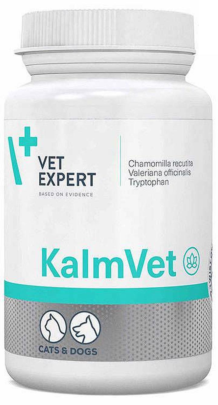 Zabawki interaktywne i stymulacja umysłowa psa