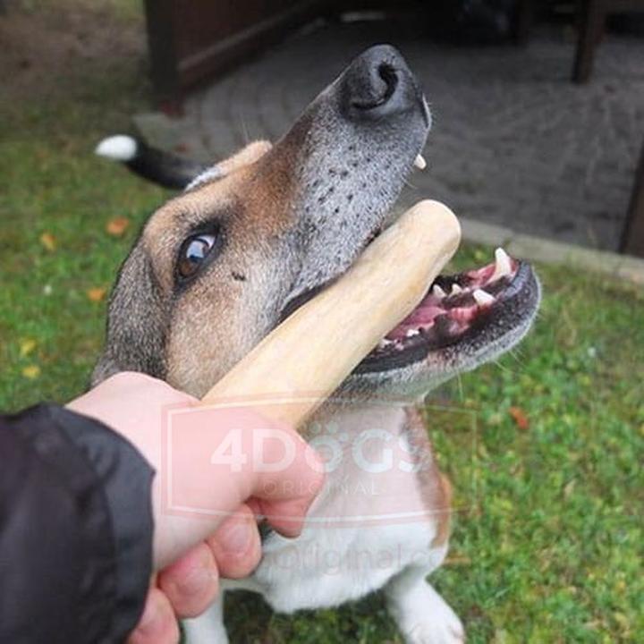 Zagrożenia jedzenia patyków