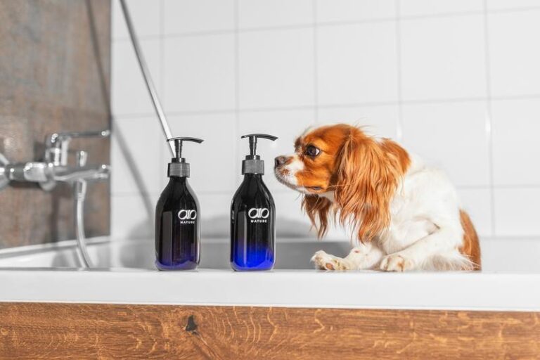 Bezpieczne kąpiele dla szczeniaka: co musisz wiedzieć o ośmiotygodniowym pupilu?