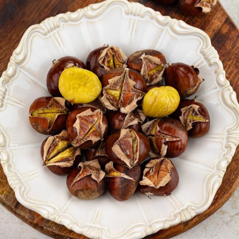 Czas na ostrzeżenie: Czy kasztany mogą zagrażać zdrowiu Twojego psa?