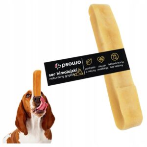 Czy pies himalajski stanie się Twoim najlepszym przyjacielem? Sprawdź, co warto wiedzieć!