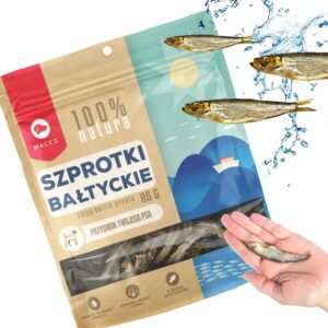 Czy pies może jeść szprotki? Oto zasady i dawkowanie, które zapewnią bezpieczeństwo Twojemu pupilkowi