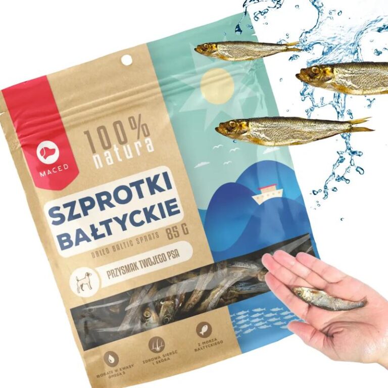 Czy pies może jeść szprotki? Oto zasady i dawkowanie, które zapewnią bezpieczeństwo Twojemu pupilkowi