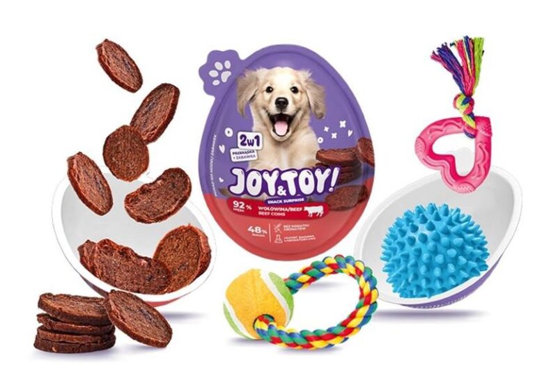 Stwórz zaskakującą zabawkę dla psa ze skarpety – łatwe i tanie pomysły na kreatywne projekty