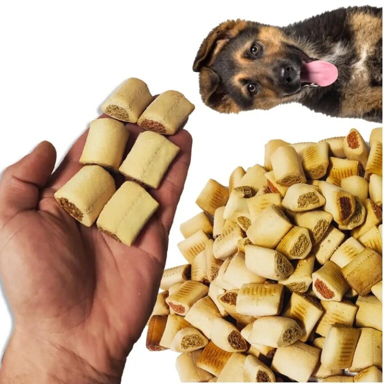 Zdrowe domowe ciastka dla psa: Prostota przepisu na smaczną przekąskę z wątróbki