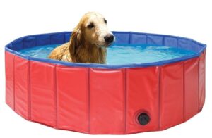 Zrób idealny basen dla psa – radość i bezpieczeństwo w jednym!