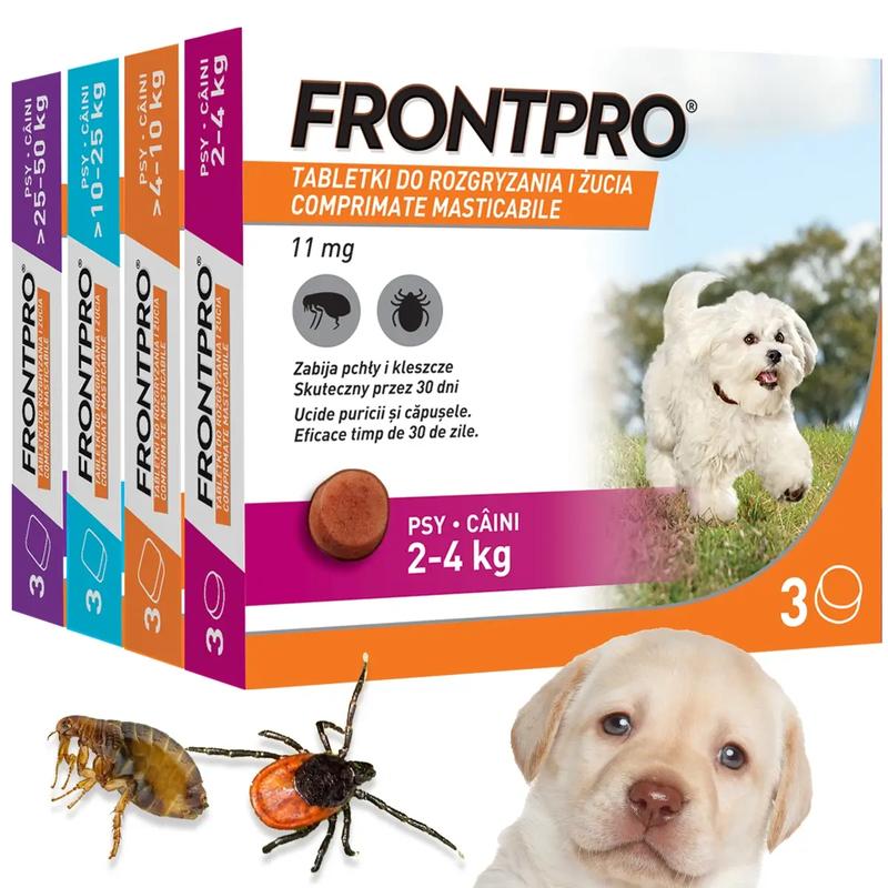 Naturalne metody ochrony przed kleszczami