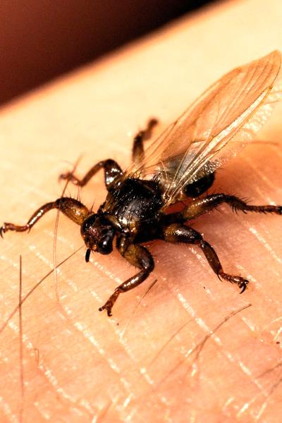 Zagrożenia zdrowotne