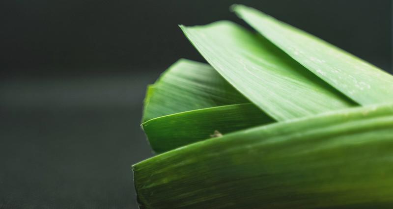 Zagrożenia zdrowotne