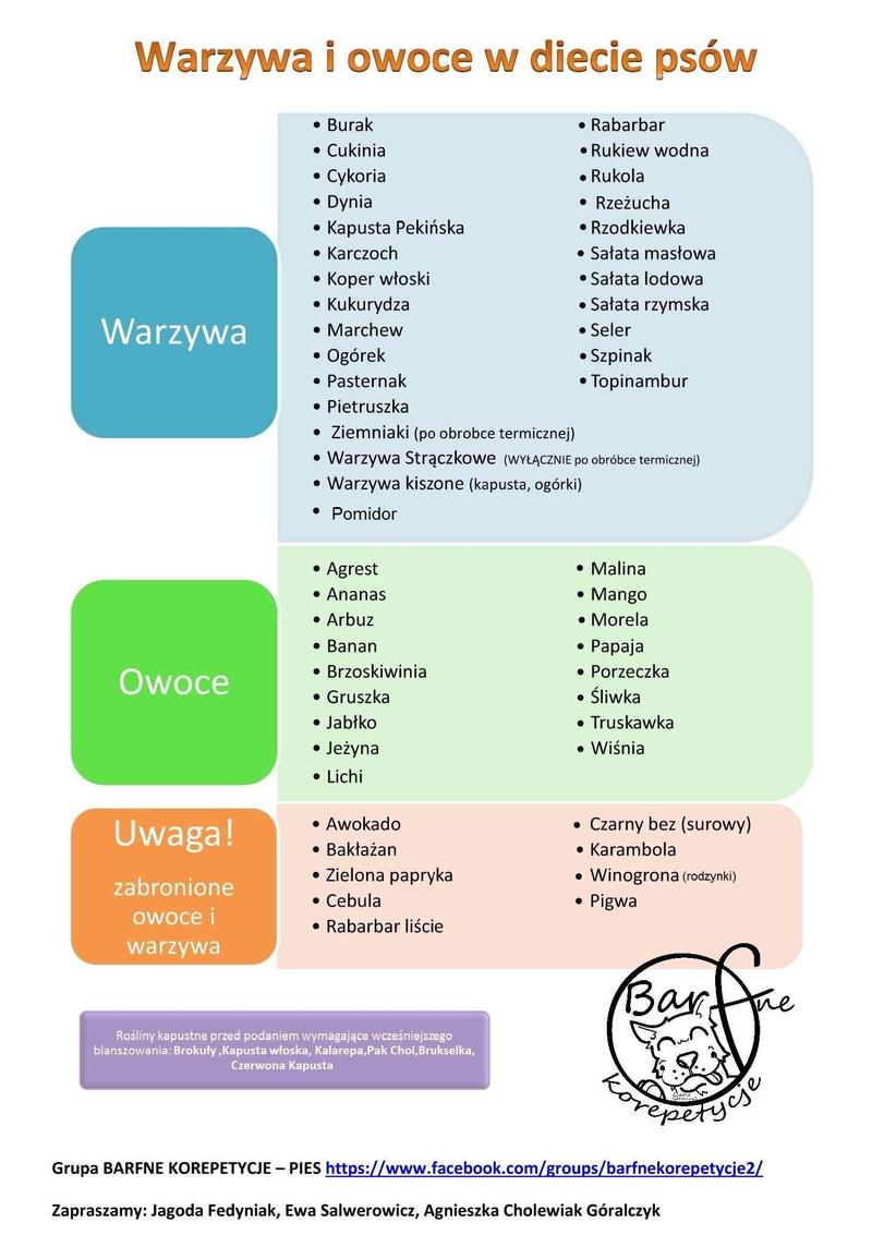 Zdrowe jedzenie dla psa