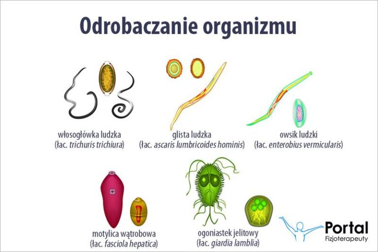 Jakie produkty omijać przy odrobaczaniu? Kluczowa lista i ich negatywny wpływ